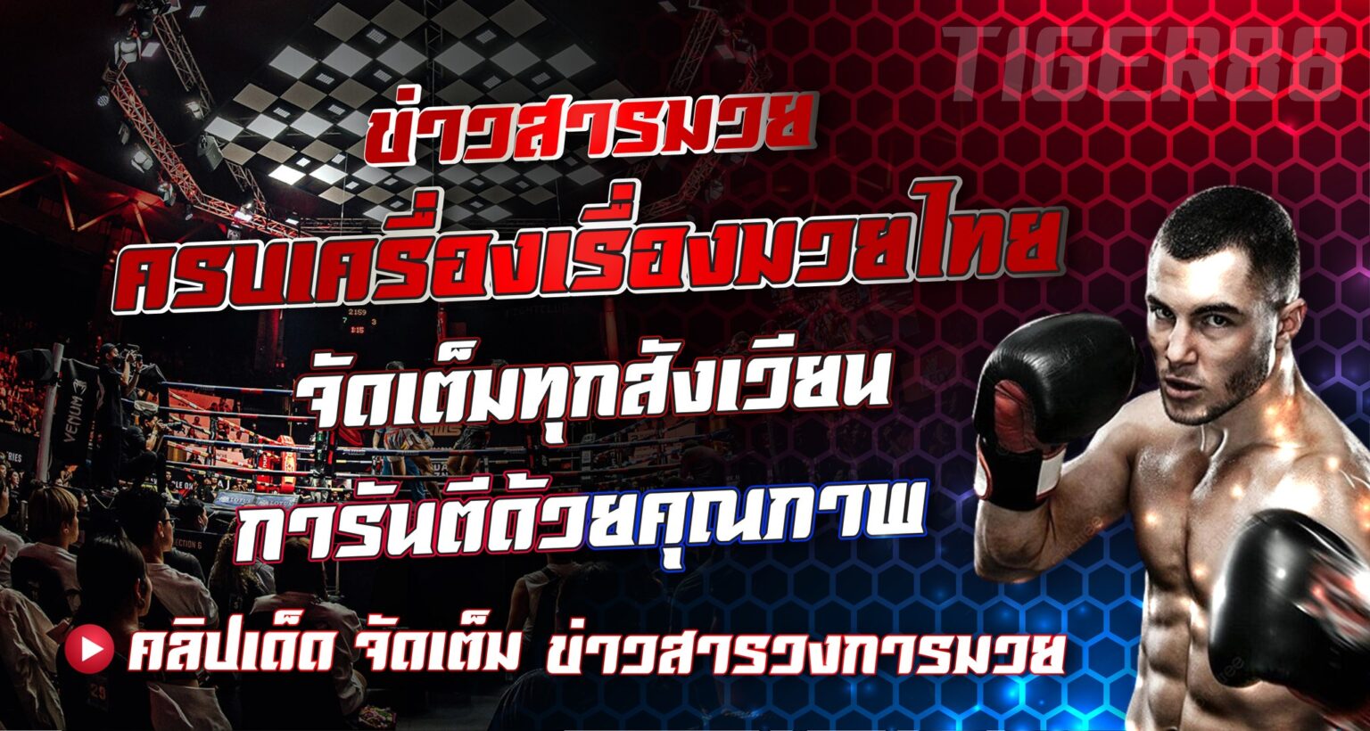 Pakyok118 ข่าวมวยอัปเดตสด วิเคราะห์ทุกคู่